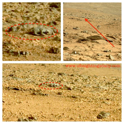 Curiosity photo showing lizard on Mars. Click image for original NASA photo. Credit: UFOsightingsdaily.com