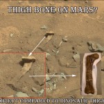 NASA Source Image of thigh bone