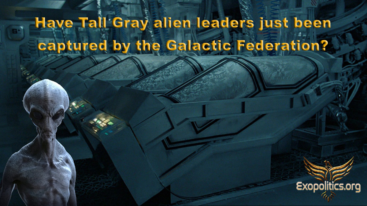 Have Tall Gray alien leaders just been captured by the Galactic ...